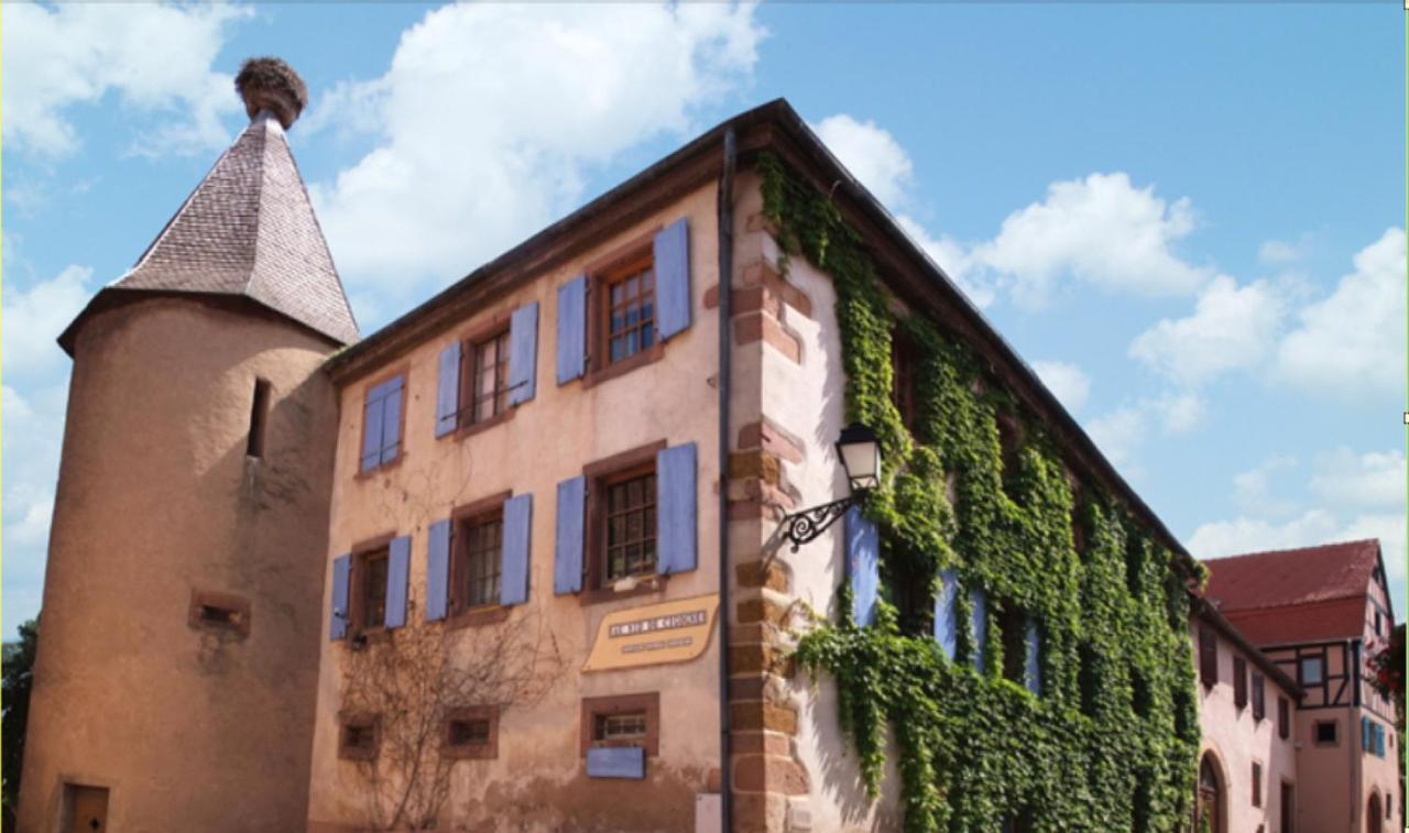 Au Nid de Cigogne Appartement Zellenberg Buitenkant foto