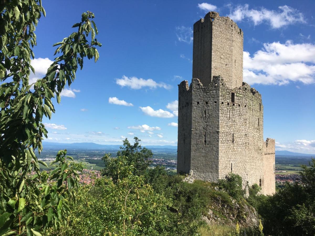 Au Nid de Cigogne Appartement Zellenberg Buitenkant foto