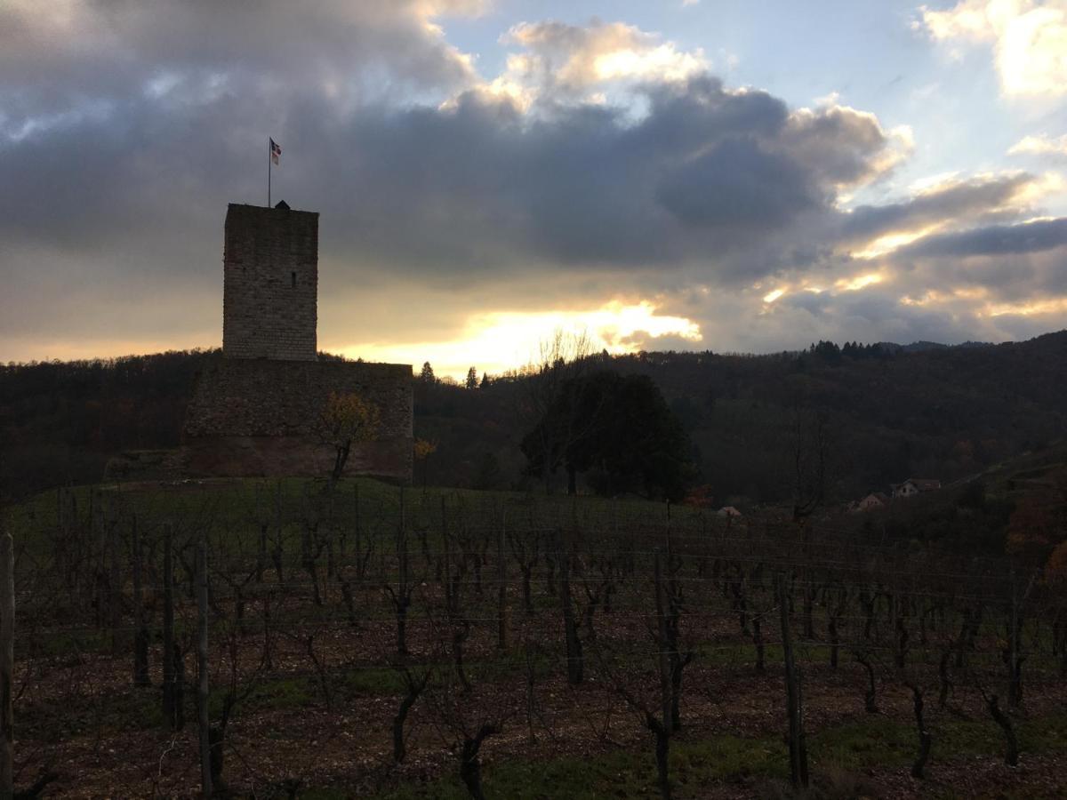 Au Nid de Cigogne Appartement Zellenberg Buitenkant foto
