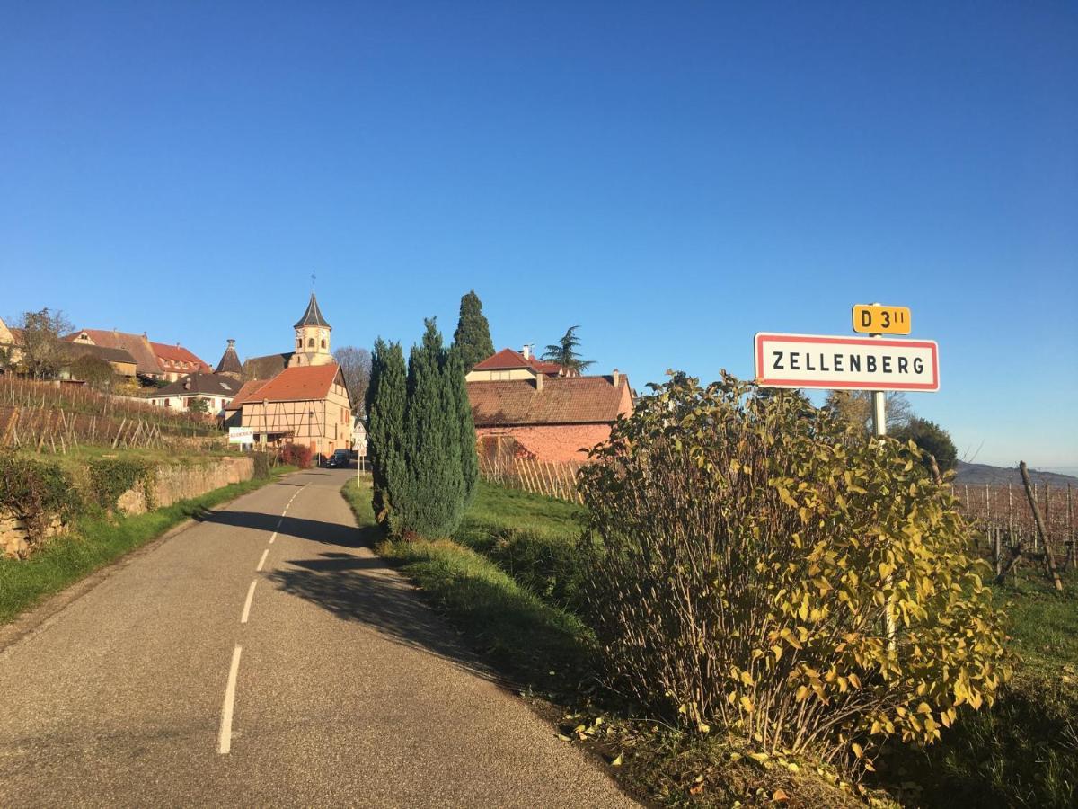 Au Nid de Cigogne Appartement Zellenberg Buitenkant foto