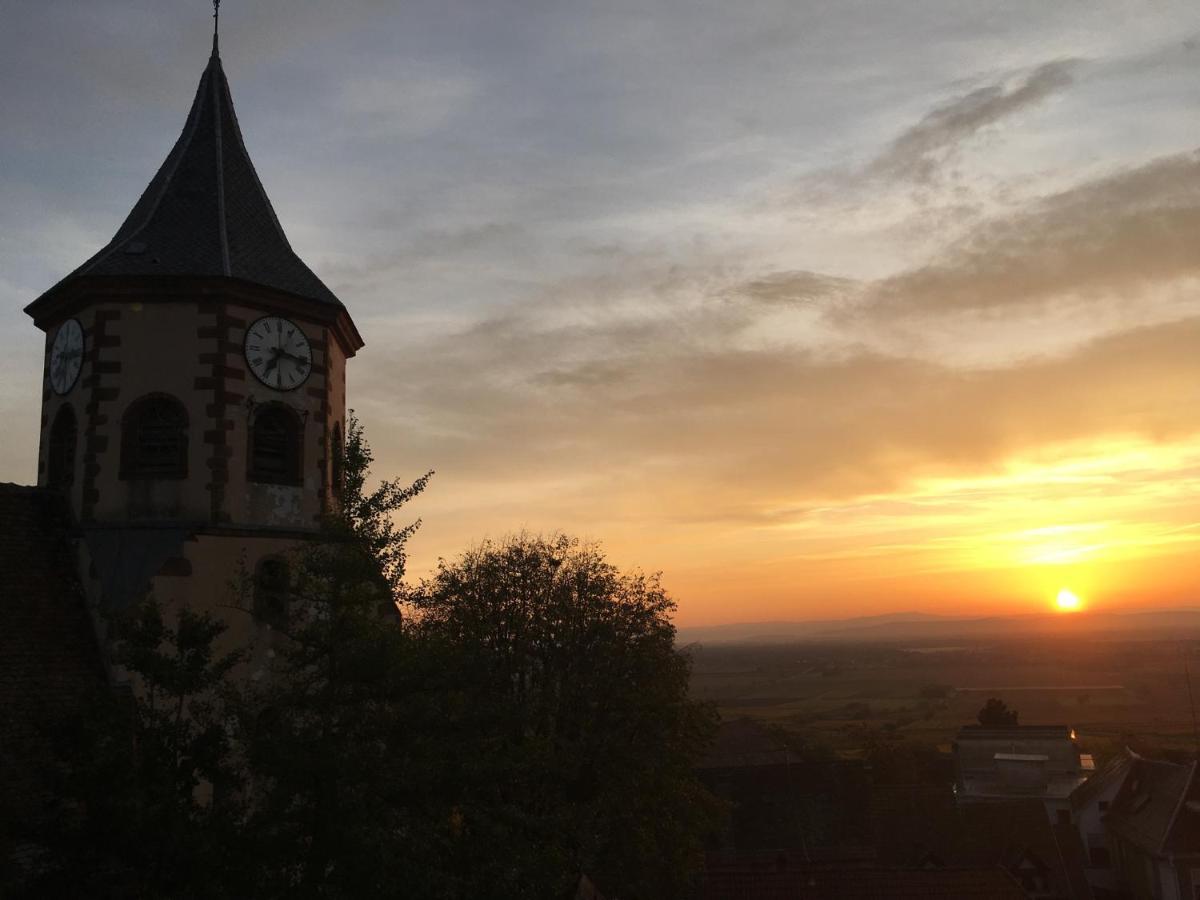 Au Nid de Cigogne Appartement Zellenberg Buitenkant foto