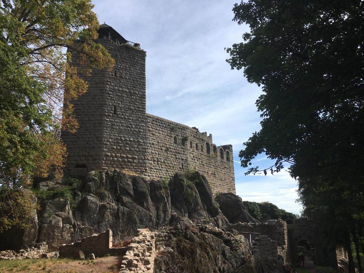 Au Nid de Cigogne Appartement Zellenberg Buitenkant foto